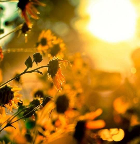 更好的生活,追求高品质生活的探索与实践